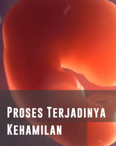 Video Pelatihan KSR_Sesi 2 Proses Terjadinya Kehamilan